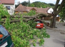 Kwikfynd Tree Cutting Services
burburgate