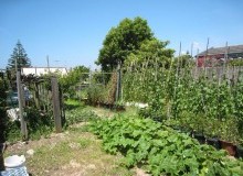 Kwikfynd Vegetable Gardens
burburgate